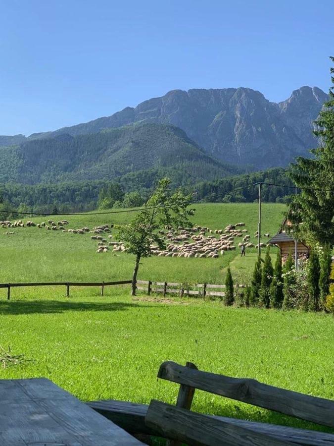 Ferienwohnung Bacowka Na Bundowkach Zakopane Exterior foto